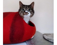 Screenshot 20191031 160824