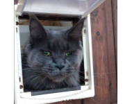 Screenshot 20191031 160746